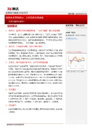 光伏专题研究系列一：政策技术双轮驱动，光伏装机快速放量