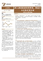 环保与公用事业周报:深入推进能源结构转型,绿氢行业发展有望加速