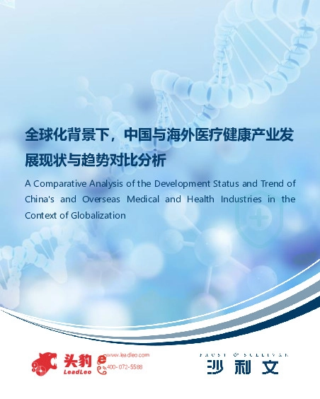 全球化背景下，中国与海外医疗健康产业发展现状与趋势对比分析（摘要版）