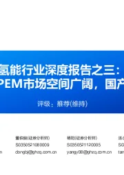 氢能行业深度报告之三:质子交换膜PEM市场空间广阔,国产替代进行时