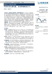 钢铁行业跟踪周报:节前补库支撑消费,库存降幅略有扩大