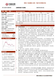 电力设备与新能源行业周报：特斯拉一季度储能收入高增，宁德时代发布凝胶态电池