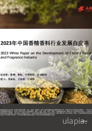 2023年中国香精香料行业发展白皮书