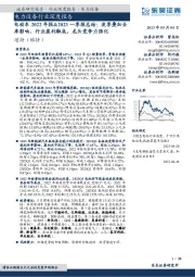 电动车2022年报&2023一季报总结:淡季叠加去库影响,行业盈利触底,龙头竞争力强化