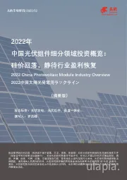 2022年中国光伏组件细分领域投资概览：硅价回落，静待行业盈利恢复（摘要版）