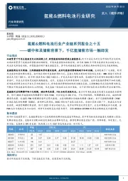 氢能&燃料电池行业研究：氢能&燃料电池行业产业链系列报告之十五-碳中和及储能背景下，千亿氢储能市场一触即发