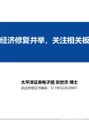 电子行业策略：智能自主与经济修复并举，关注相关板块投资机会