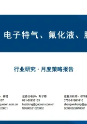 化工月度策略报告:看好中石化、电子特气、氟化液、膳食纤维方向