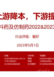 原料药及仿制药2022&2023Q1总结：上游降本，下游提效