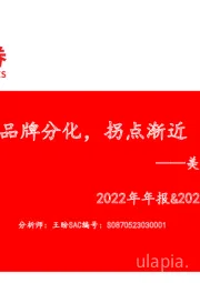 美妆&新消费行业2022年年报&2023年一季报总结：品牌分化，拐点渐近