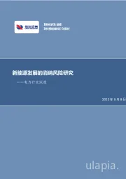 电力行业深度研究：新能源发展的消纳风险研究