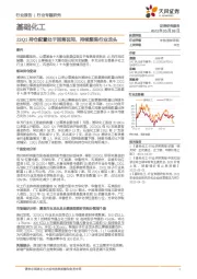 基础化工行业专题研究：23Q1持仓配置处于回落区间，持续聚焦行业龙头