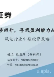 风电行业中期投资策略:装机量有望强势回升,寻找盈利能力超预期修复环节