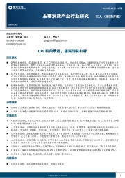 主要消费产业行业研究：CPI阶段承压，居民消化杠杆