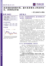有色金属行业周报：美国通胀超预期回落，叠加美国债务上限谈判临近，助推黄金价格