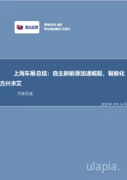 汽车行业专题研究:上海车展总结:自主新能源加速崛起,智能化方兴未艾