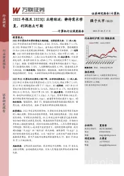 计算机行业深度报告：2022年报及2023Q1业绩综述：静待需求修复，利润拐点可期