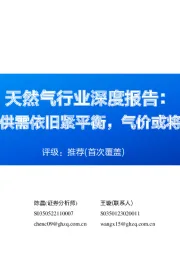 天然气行业深度报告:全球天然气供需依旧紧平衡,气价或将维持中高位