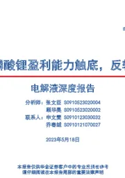 电力设备:电解液深度报告-六氟磷酸锂盈利能力触底,反转在即