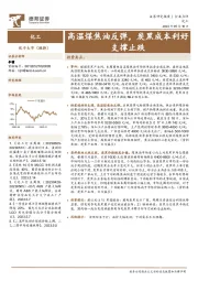 化工:高温煤焦油反弹,炭黑成本利好支撑止跌