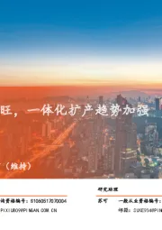 电力设备及新能源:国内外光伏需求两旺,一体化扩产趋势加强
