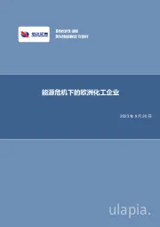 化工行业行业深度报告:能源危机下的欧洲化工企业