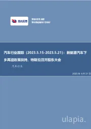 汽车行业跟踪:新能源汽车下乡再迎政策扶持,特斯拉召开股东大会