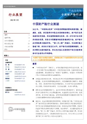 中国财产险行业展望