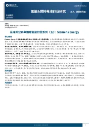 氢能&燃料电池行业研究:从海外公司年报看氢能行业系列(五):Siemens Energy