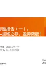 半导体设备专题报告(一):前道设备——扼喉之手,亟待突破!
