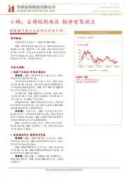 新能源汽车行业系列点评五十四：小鹏：业绩短期承压期待智驾拐点
