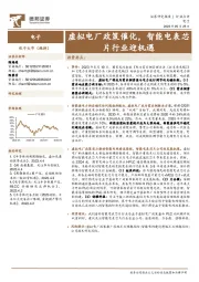 电子：虚拟电厂政策催化，智能电表芯片行业迎机遇