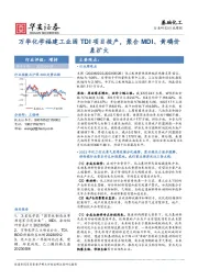 基础化工行业周报：万华化学福建工业园TDI项目投产，聚合MDI、黄磷价差扩大