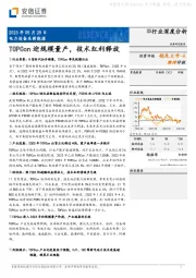 电力设备及新能源行业深度分析：TOPCon迎规模量产，技术红利释放