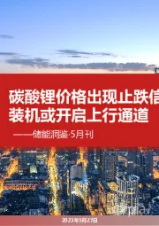 储能洞鉴·5月刊：碳酸锂价格出现止跌信号，储能装机或开启上行通道