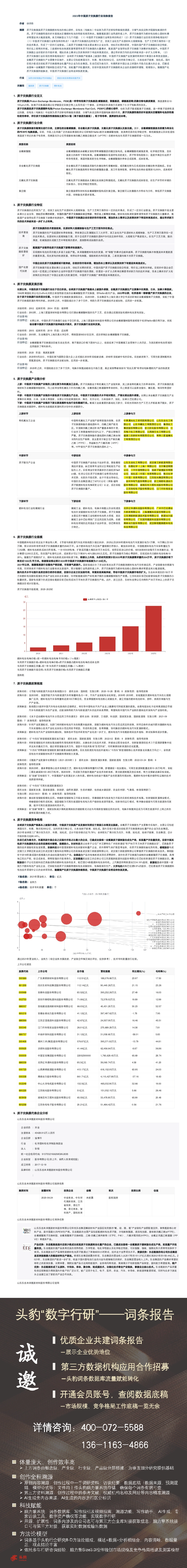 2023年中国质子交换膜行业词条报告