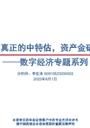 数字经济专题系列：数据要素：真正的中特估，资产金矿+估值蓝海