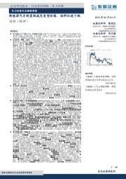 电力设备行业跟踪周报：新能源汽车购置税减免有望延续、硅料加速下跌