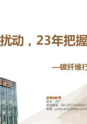 碳纤维行业深度系列报告1：无惧短期扰动，23年把握三条主线