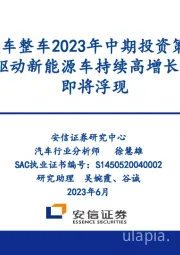 汽车整车2023年中期投资策略：创新驱动新能源车持续高增长，一线龙头即将浮现