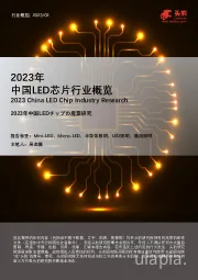 2023年中国LED芯片行业概览
