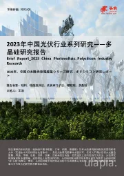2023年中国光伏行业系列研究——多晶硅研究报告