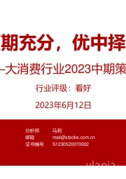 大消费行业2023中期策略：预期充分，优中择优