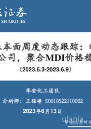 万华化学基本面周度动态跟踪：新能源材料成立新公司，聚合MDI价格稳中上行