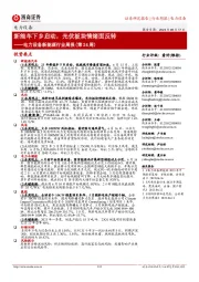 电力设备新能源行业周报(第24周):新能车下乡启动,光伏板块情绪面反转