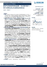 燃气Ⅱ行业点评报告：欧洲气价将迎阶段性高峰，关注国外转口、国内消费复苏&价差修复投资机会