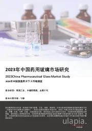 2023年中国药用玻璃市场研究