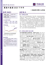 传媒新消费行业周报：震荡中展望2023下半年