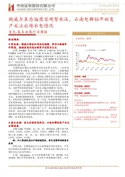 有色-基本金属行业周报:鲍威尔表态偏鹰宏观暂承压,云南电解铝开始复产关注后续水电情况