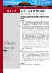 化工行业周报：国际油价偏弱下行，TDI价格小幅上涨